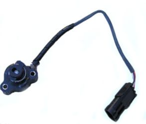 service images